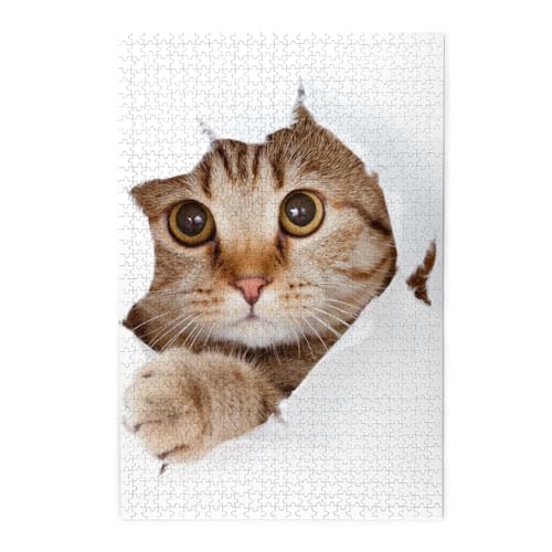 ˂ L L (1) WO\[pY ؐ 1000s[X pY  W[  q SҌ 75 x 50cm