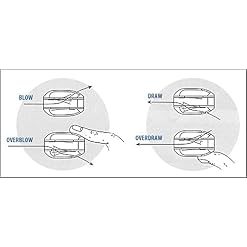 Other Harmonica (Suzuki-Overdrive-D) - Les Beatles, Paul McCartney, John Lennon, RIngo Starr, George Harrison Other Harmonica (Suzuki-Overdrive-D) – Image 3