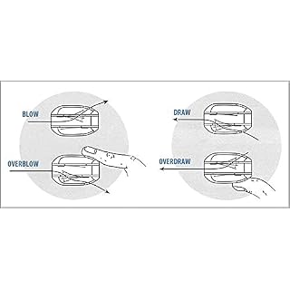 Other Harmonica (Suzuki-Overdrive-D) - Les Beatles, Paul McCartney, John Lennon, RIngo Starr, George Harrison Other Harmonica (Suzuki-Overdrive-D) – Image 3