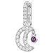Produktbild Swarovski -Clasp Charms Edelstahl Kristall 5429774