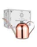 Rose Gold Mini Watering Can for Indoor Plants Such As Tiny House Plants, Flowers, Succulents, Herbs, and Bonsai - Beautiful, Modern, Long Neck, Stainless Steel Metal Watering Can, 16 ounces
