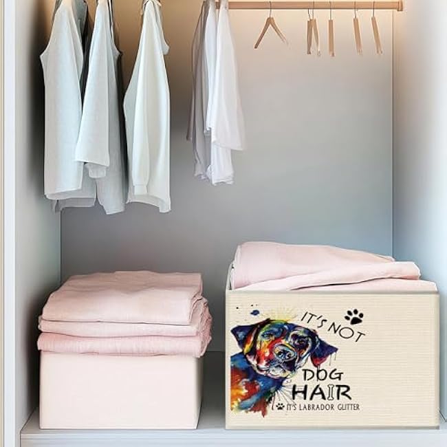 Mancheng-zi Funny Labrador Retriever Dog Collapsible Storage Bins, Labrador Retriever Gifts for Women, Funny Dog Toys Books Clothes Storage Organizer Baskets for Living Room Bedroom