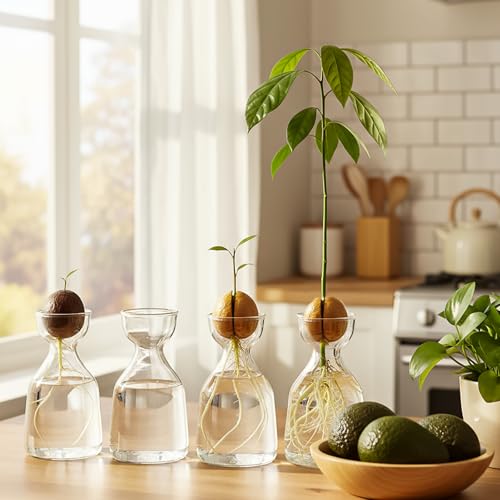 Image of Hiceeden 3 Pack Avocado Seed Starter Vase for Growing, Glass Acorn Tree Growing Kit Vase, Small Avocado Tree Plant Pot Seed Planter, Flower Bud Vases Gift for Gardening Lovers