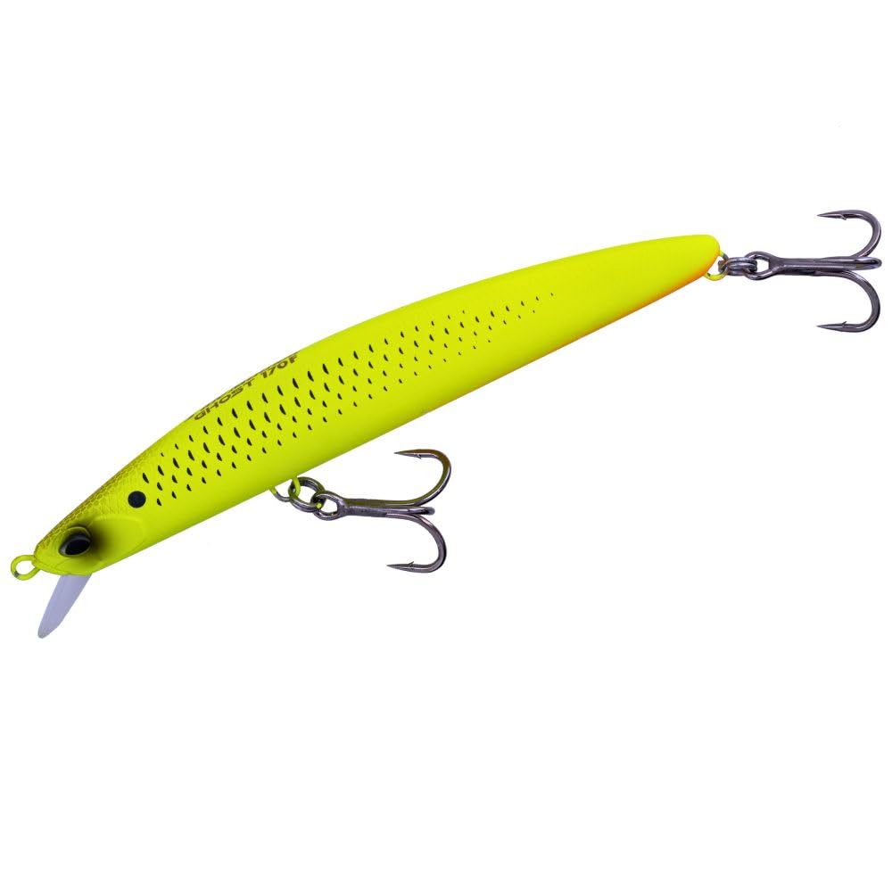 Duo Tide Minnow Ghost 170F ACC0597 Mat Chart Mullet Suni Yem