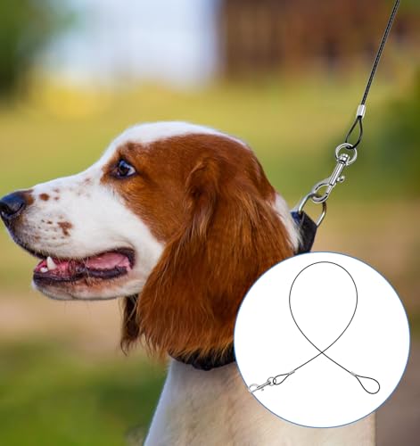 2 Stück Hundeleine Bissfest, Trainingsleine für Hunde mit Verlängerungsseil aus Metall, Kausichere Hundeleinen-Verlängerung für Kleine Mittelgroße Hunde, Robuste und Sichere Hundeleine