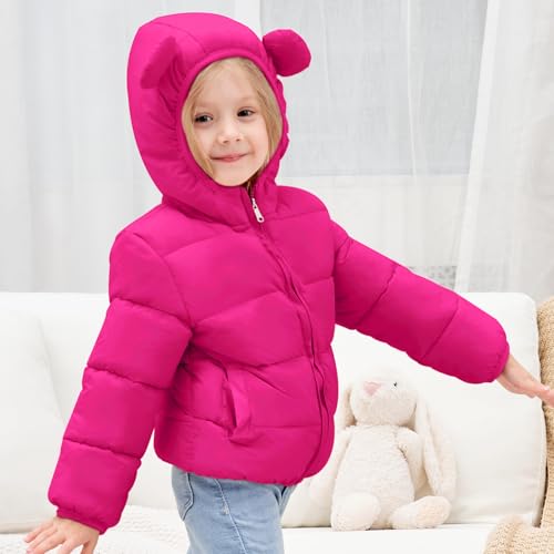 Image of Toddler Boys Girls Thicken Winter Coat Baby Fleece Warm Cute Bear Ear Hooded Jacket Clothes 2024