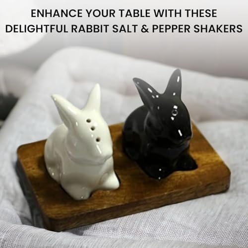 Image of KITTENS 'Hopper Duo' Handpainted Rabbit Shaped Ceramic Salt & Pepper Shaker Set - Black & White - Set of 2 - Food Grade Decorative Tableware for Dining, Kitchen & Gifting