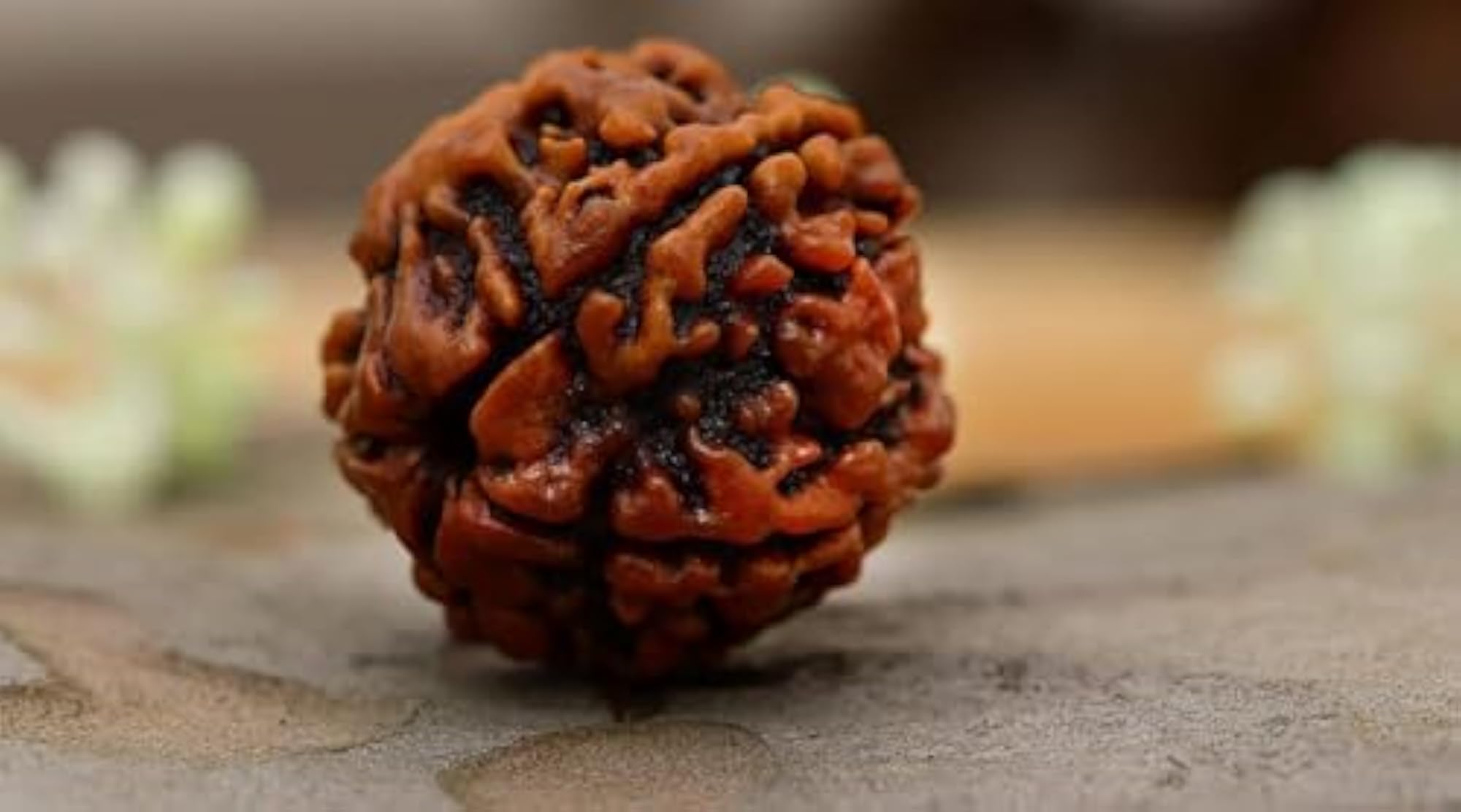 5 Mukhi Rudraksha Round Shape Certified Silver Pendant