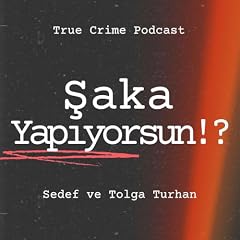 Şaka Yapıyorsun!? : Ger&ccedil;ek Su&ccedil; kapak görseli