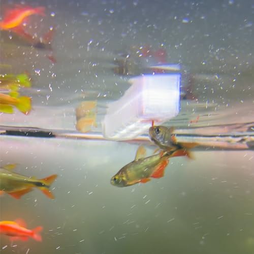 Image of Aquarium Feeder Frozen Blood Worm Boat for Fish Tank Aquarium Feeding (Black)