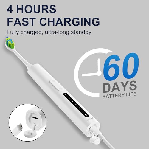 Image of 7AM2M Sonic Electric Toothbrush for Adults and Kids, 40000VPM Power Toothbrushes, Fsat Rechargeable with 4 Brush Heads, 5 Modes, 2 Minutes Built in Smart Timer, One Charge for 60 Days (White)
