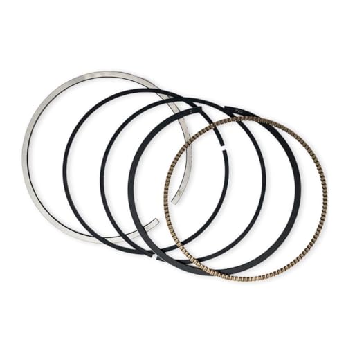 ƌ݊ LONCIN YBS300 GWp[c V_[Lbg 76mm V_[ubN sXgKXPbg sXgO I[goCANZT[ [XyAp[c](Piston Ring)