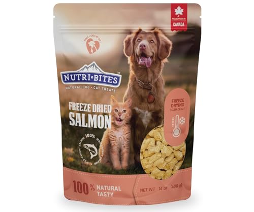 Nutri Bites Freeze Dried Salmon Treats