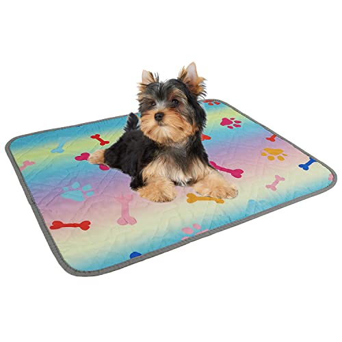 Victree Washable Dog Reusable Pee Pad For Dogs - Training Puppy Pad Potty Buddy - Non Slip Waterproof Dog Crate Pad Pet Rugs, Gradient Rainbow, 1 Pieces, 20 X 24 Inches #TOP4