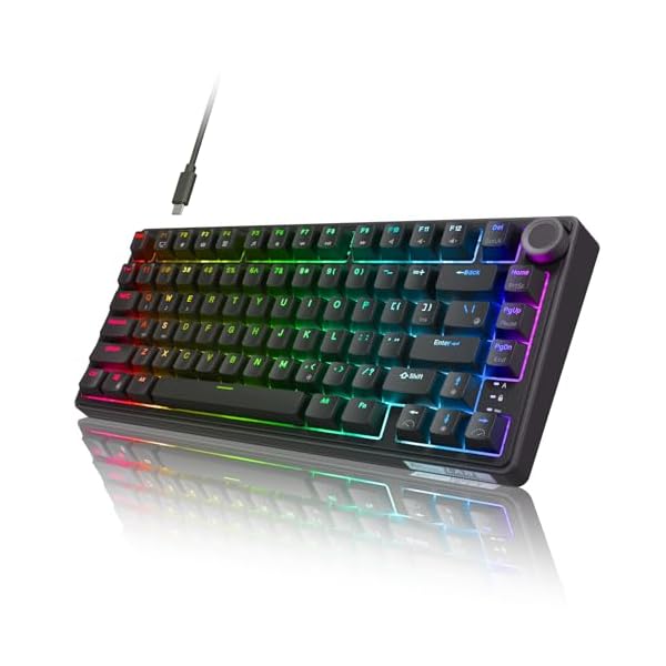 RK ROYAL KLUDGE R75 Wired Mechanical Gaming Keyboard, 75% Hot-Swap Mechanical Keyboard Volume Knob, Soft Pre-lubed Tactile Brown Switch