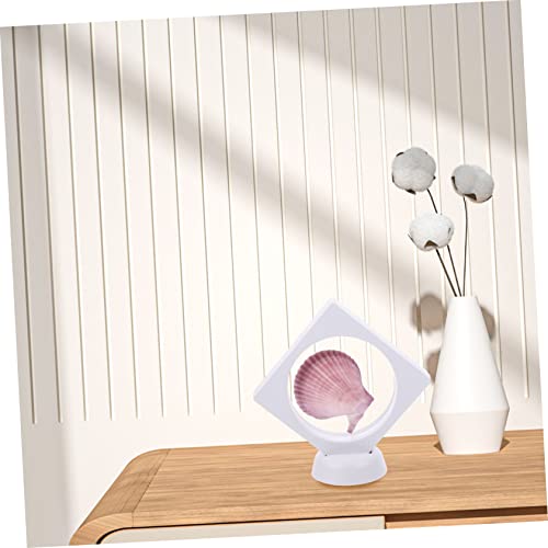 Conchas naturales decorativas para centros de mesa y adornos de hogar estilo costero mediterráneo 5