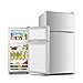 QINGZHUO Mini Nevera Silenciosa,(118L, 60L),Plateado,refrigerador con Congelador Independiente De 2 Puertas,Ideal para Cocina,Dormitorio O Área De Oficina.