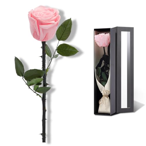 SofLiv Pink Flowers for Delivery Prime, Preserved Pink Roses Flower Gifts for Women, Real Roses Single Rose Gifts for Her, Mom Birthday Gifts from Daughter, Valentines Flowers