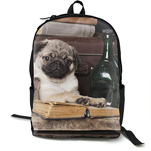 Mochila Escolar para Perro  diseño de Carlino