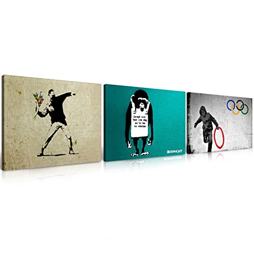 バンクシー 絵画 インテリア Banksy アートパネル 3枚セット 飾り絵 落書き 消えた5輪 花束を投げる男 ゴリラ ポスター 壁掛け アートフレーム モダン アートボード 絵画 印刷された インテリア部屋飾り 壁掛け(D, 30cmX40cm)