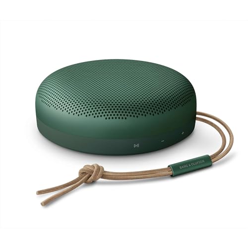 Bang & Olufsen Beosound A1 (2nd Gen)