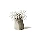 lieomo 3Pcs Handmade Mini Modern Geometric Style Conerete Planter