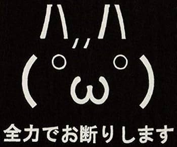 Amazon.co.jp: 顔文字 全力でお断りTシャツBK 15 : おもちゃ
