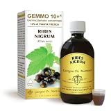Dr Giorgini RIBES NERO (Ribes nigrum) Gemmoderivato Concentrato Liquido Analcoolico - 500 Millilitri