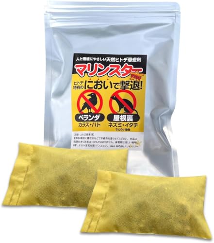 VRqgf  }X^[ C _ i100g×2ܓ)×3 Qb쏜 Q HQh~ C^` JX  ng lY~