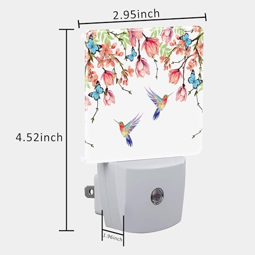 Image of Hummingbirds and Blue Butterflies Night Light Plug into Wall with Dusk to Dawn Sensor Cute Nightlight for Kid Girls Boys Women Men Room Decor, Hallway, Kitchen, Bathroom, Nursery, Stairs
