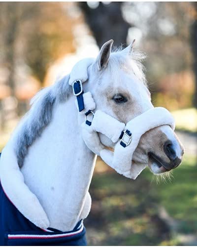 Licou Fluffy halster Steelblue Desir blanc au pansage taille Shet