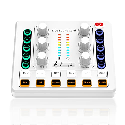 Mini Scheda Audio Per Cambio Voce - Effetti Sonori E Modulazione Vocale Per Live, Gaming E Chiamate, Plug And Play Per PC E Smartphone