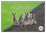 PERFEKTES GESCHENK - Kalender für Freunde und Familie, für Kinder und Erwachsene, jung und alt, zu Weihnachten, Geburtstag oder zwischendurch.