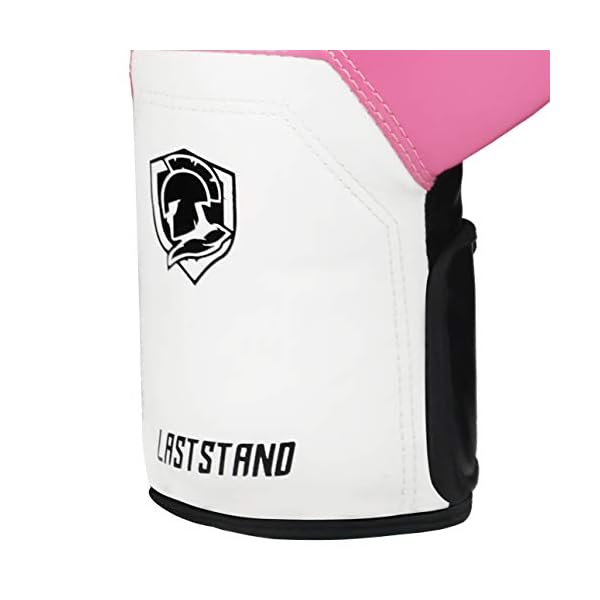 ASTSTAND-Boxing-Gloves-for-Men-Women-Boxing-Training-Gloves-Kickboxing-Gloves-Sparring-Gloves-Heavy-Bag-Gloves-for-Boxing-Kickboxing-Muay-Thai-MMA ASTSTAND Boxing Gloves for Men & Women, Boxing Training Gloves, Kickboxing Gloves, Sparring Gloves, Heavy Bag Gloves for Boxing, Kickboxing, Muay Thai, MMA (Pink, 10oz)