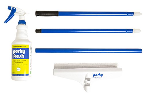 Best Carpet Rakes