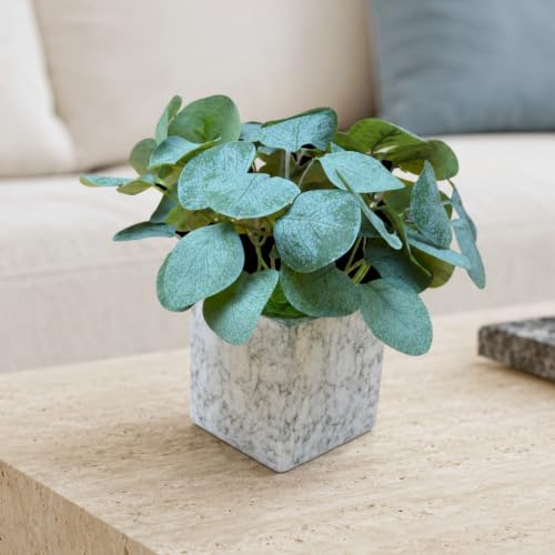 Image of fancymart Artificial Plant with Real-Touch Leaves in Pot, 25 cm, Indoor Tabletop Item for Home Decor, Office, Living Room