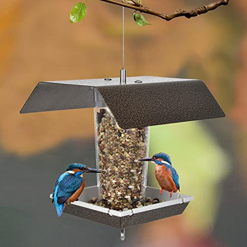 Satcal Modern Bronze Hanging Panorama Bird Feeder #TOP13