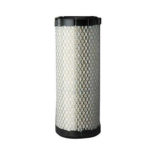 Donaldson P821575 Air Filter Primary (Pack of 2)