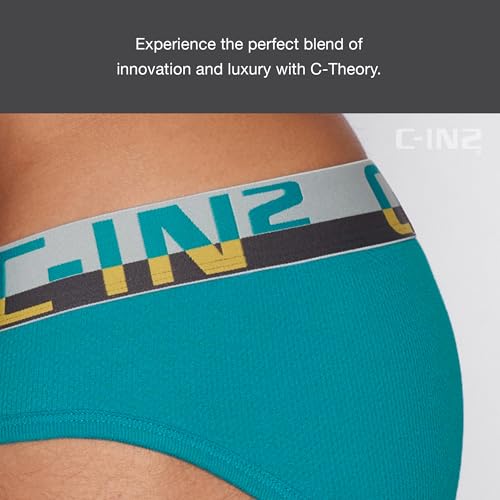 C-IN2 C-Theory Low Rise Brief4