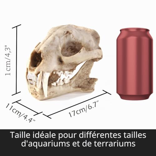Kocris Casa Décoration D'Aquarium Terrarium Statues Dinosaure Crane Décor Decoration Halloween Tete De Mort Decoration Deco Crâne Squelette Paysagère pour Aquarium – vue 2