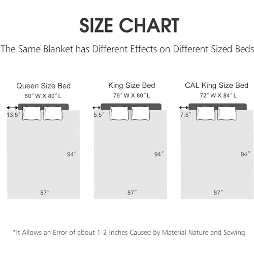 JML Korean Style Mink Blanket Heavy King Size 87" x 94", 10.5 Pounds Plush Fleece Blankets for Winter- Silky Soft and Warm, 2 Ply A&B Printed Embossed Raschel Bed Blanket (Grey-Blue Floral)