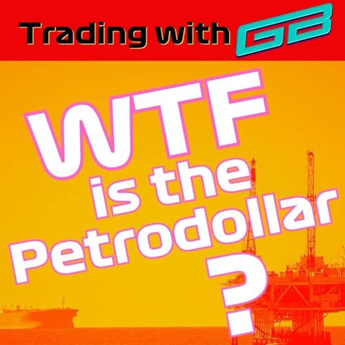 What is the Petrodollar?