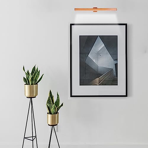 Image of MIOBLUE LED Picture Light Battery Operated with Remote, 16in Rechargeable Picture Light for Paintings,Metal Display Art Light with Timer and Dimmable for Frame,Wal,Artwork,Portrait,Gallery,Dartboard