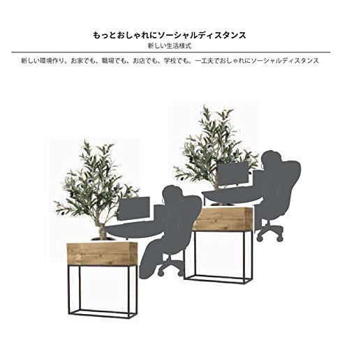 Amazon.co.jp: SPICE OF LIFE(スパイス) レクトプランターボックス