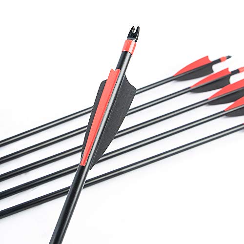 TOPOINT ARCHERY 30inch 8mm Fiberglass Hunting Practice Arrows with Replaceable Arrowhead Spine 500 for Recure and Compound Bow Target (Pack of 12) (2 Black 1 red vanes) - Thumbnail 4