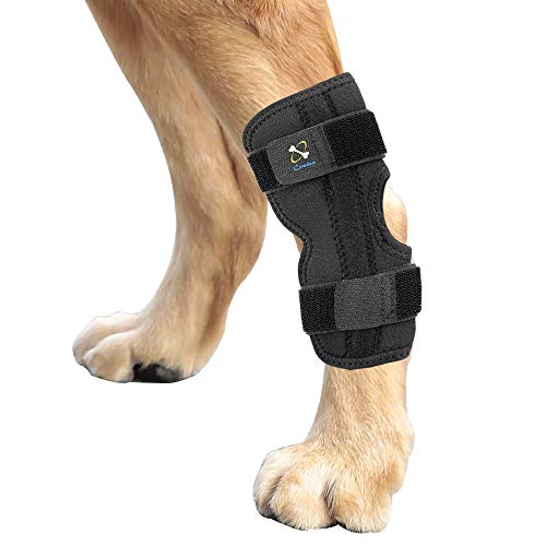 Best Dog Knee Braces in 2020 Ratings, Prices, Products ACuteADay
