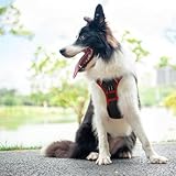 PHOEPET Verstellbares Sicherheitsgeschirr für mittlere und große Hunde mit gepolstertem Griff und reflektierendem Hundegeschirr, leicht zu kontrollieren für den täglichen Spaziergang(Schwarz,L)