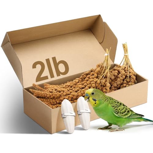 MEWTOGO Spray Millet & Cuttlebone Bird Treats Set - 2lb Hand Selected Golden Millet Treats for Parakeets Cockatiel Lovebirds Canaries Finches
