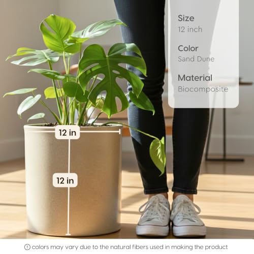 Image of Eha Earth Friendly Gallery Big Planters for Home Decor | 12 inch, Pack of 1 | Heavy Duty Plant Pot Made with Rice Husk & Bamboo Biocomposite | UV Protected Pot for Plant | Pots & Planters Big Size