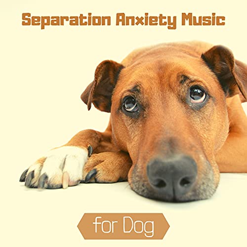 Separation Anxiety Music for Dog - Music to Calm Down de Joslyn Jena en